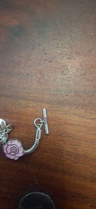 Pandora tipe of bracelet roses