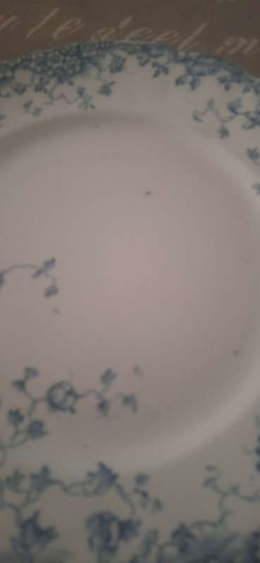 Toowoomba vintage plate
