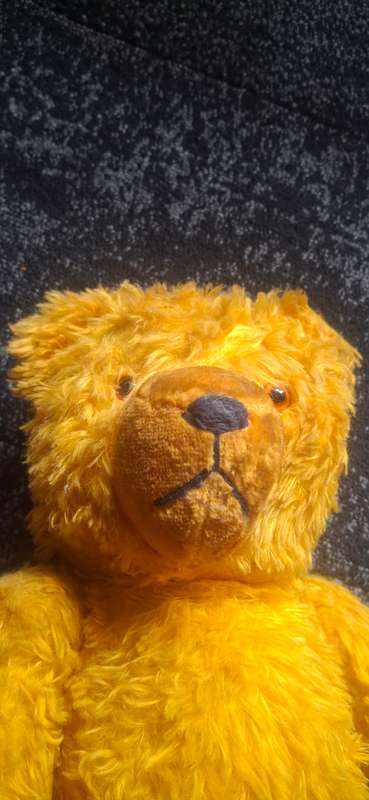Vintage teddy bear