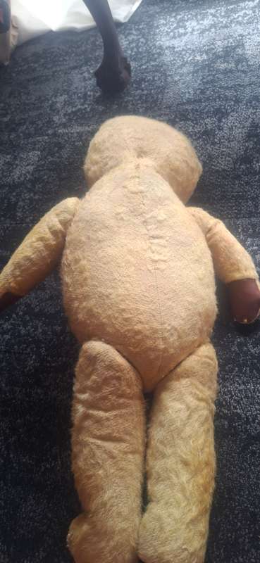HUGE MOHAIR VINTAGE ARK TEDDY BEAR  1950'S