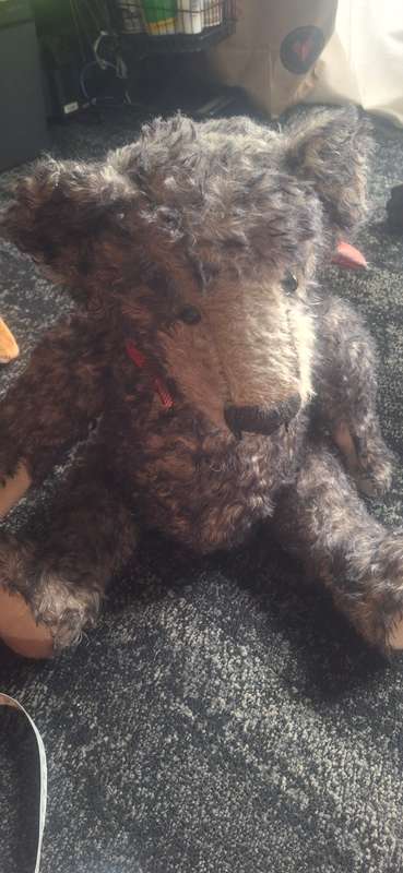 Vintage teddy bear