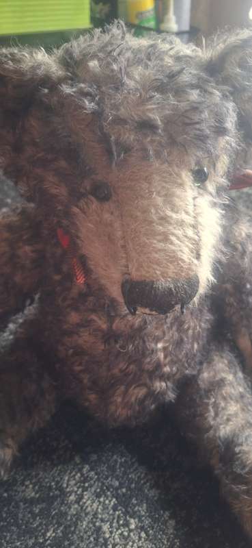 Vintage teddy bear
