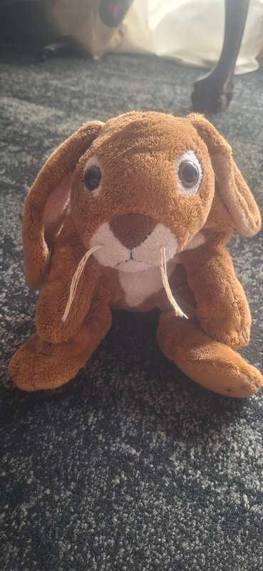 Vintage bunny