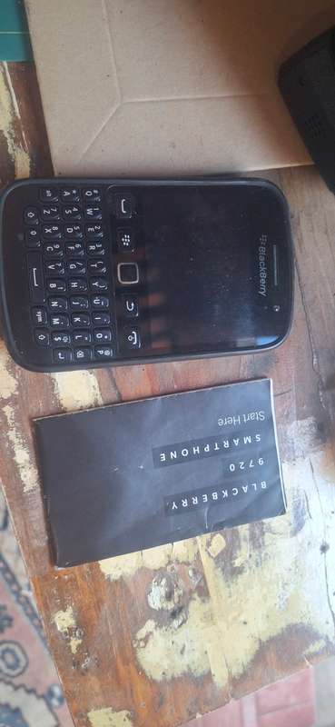 Vintage blackberry