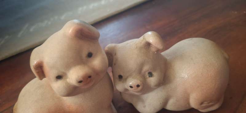 Porcelain piggy x2