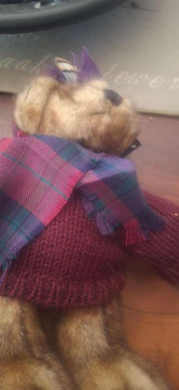 Ronnie hek teddy bear vintage pride if scotland