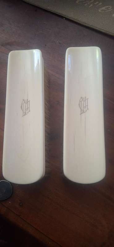 Vintage brushes bone material