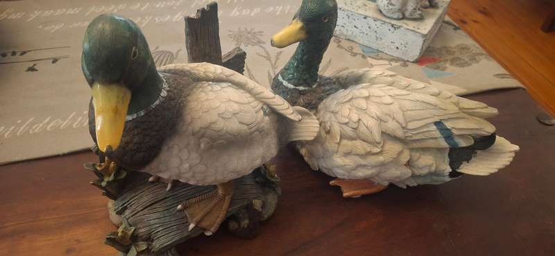 Fine China  Set 2 Mallard Hand Painted Japan