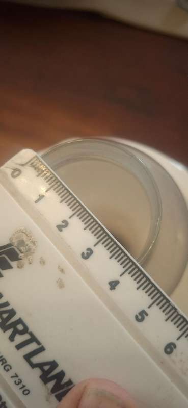 Vintage lampshade with glass