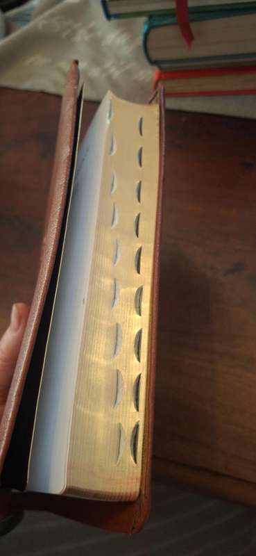 Holy bible new international version