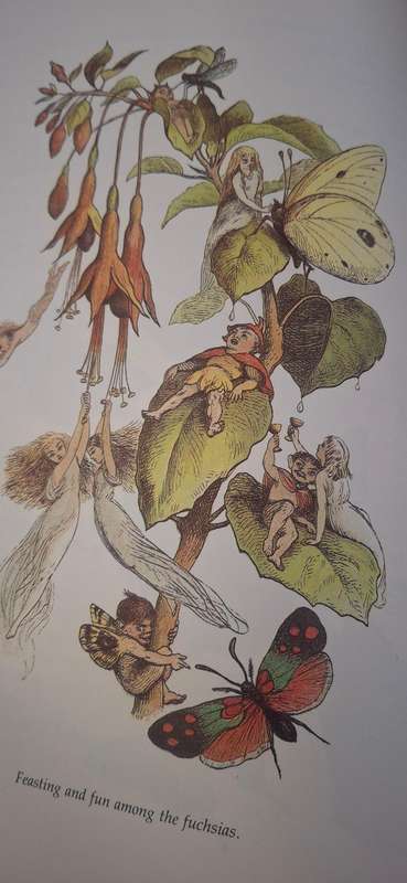 In fairyland