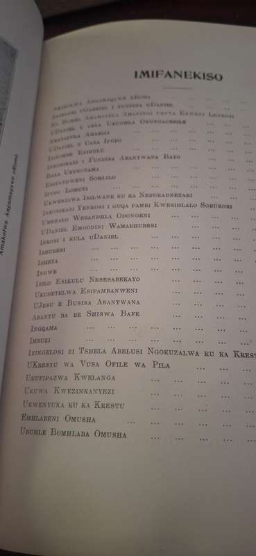 book titled "IZIPROFITESHO ZI KA DANIEL", which translates to "The Prophecies of Daniel" in isiXhosa