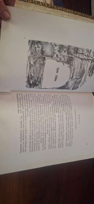 book titled "IZIPROFITESHO ZI KA DANIEL", which translates to "The Prophecies of Daniel" in isiXhosa