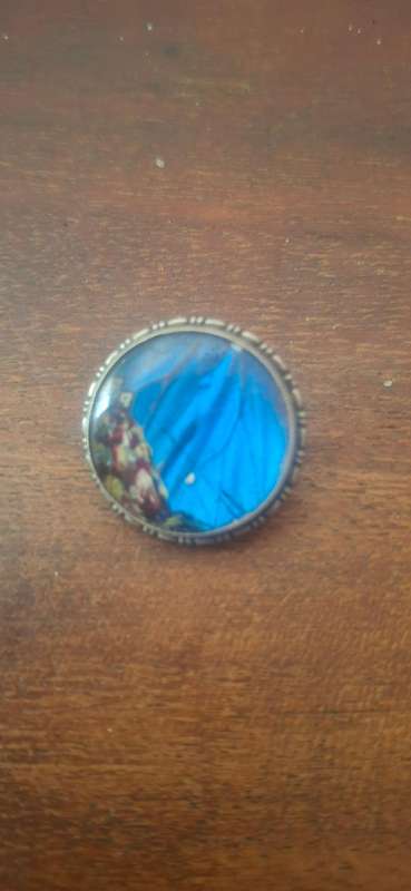 VINTAGE Art Deco Sterling Silver Framed Blue Butterfly Wing BROOCH