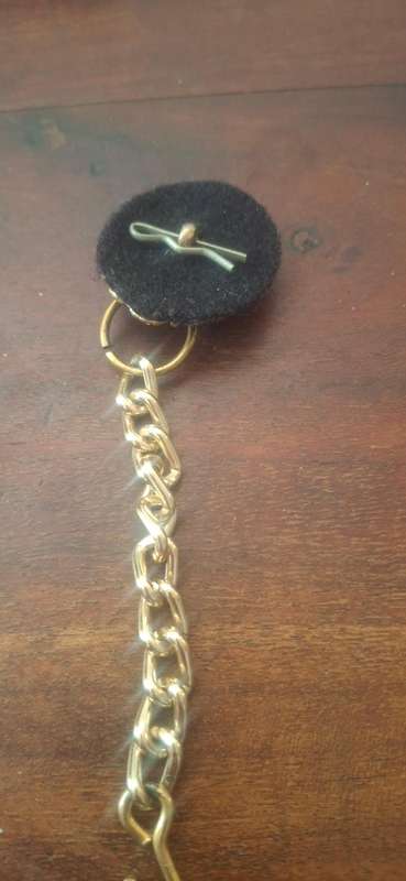 Cloak clasps - Lion vintage