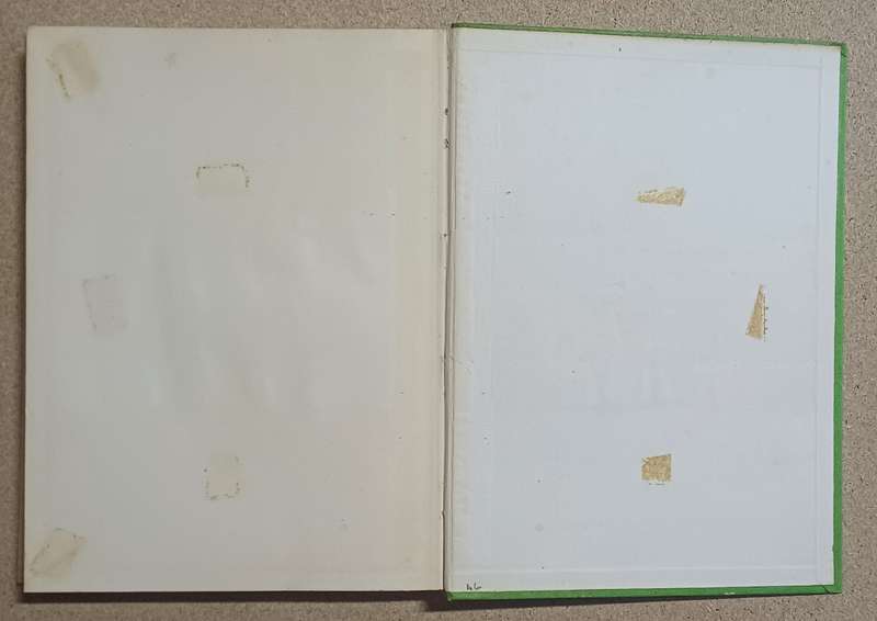 ALGEMENE PLANTKUNDE H. P. van der Schijff