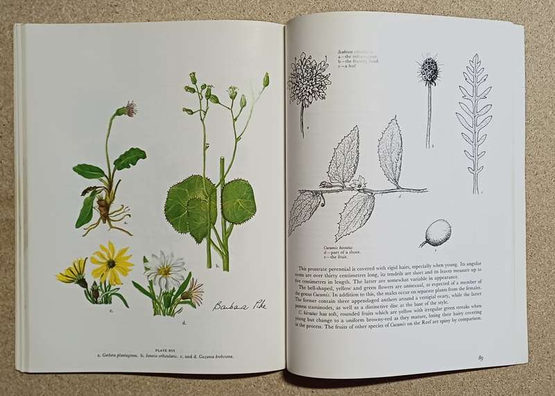 WILDFLOWERS OF THE WITWATERSRAND ANNABELLE LUCAS