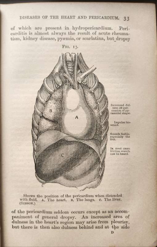 The Students Guide to Medical Diagnosis - Fenwick, Samuel and Bedford Fenwick