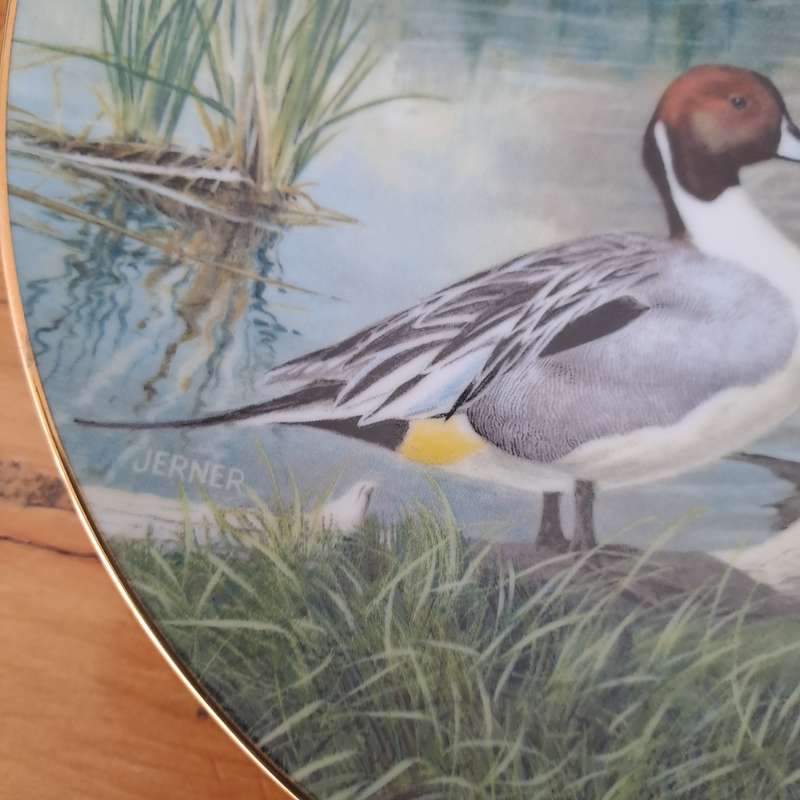 Knowles Plate 'The Pintail'