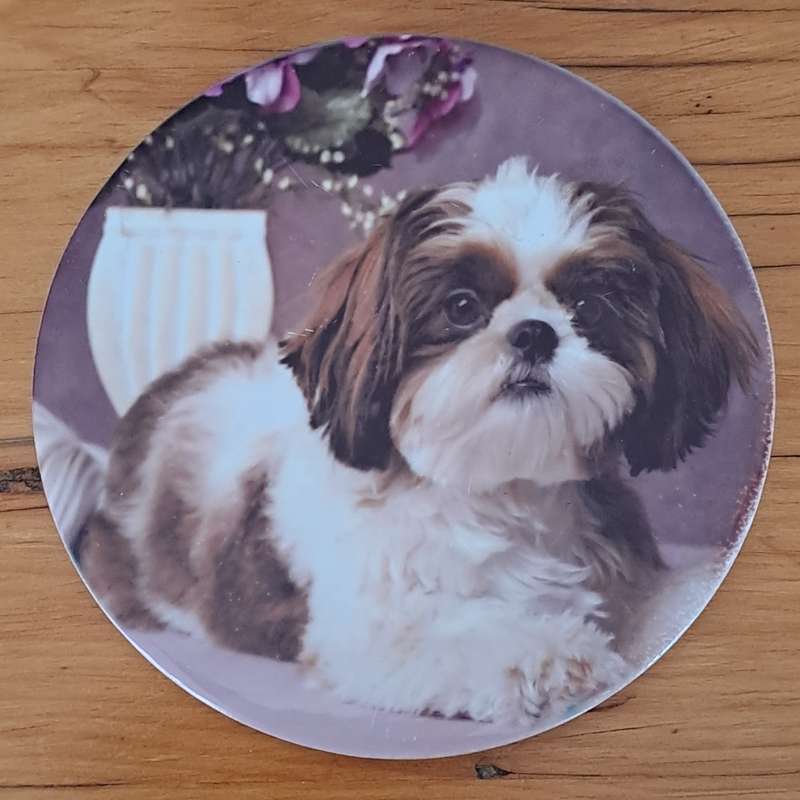 Dog Plaque/Pot Stand