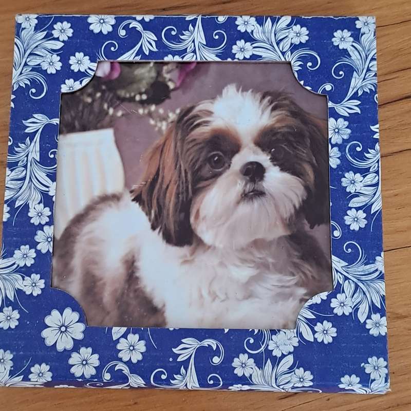 Dog Plaque/Pot Stand