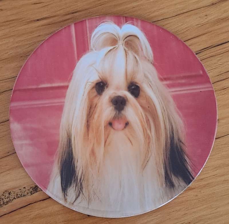 Dog Plaque/Pot Stand