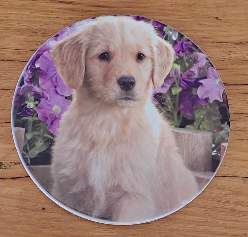 Dog Plaque/Pot Stand