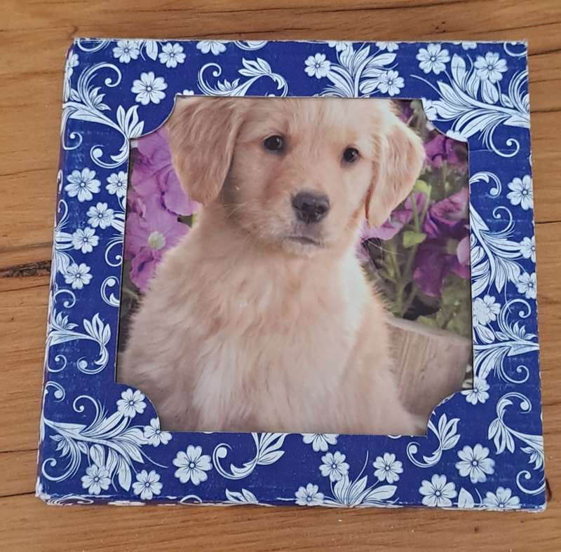 Dog Plaque/Pot Stand