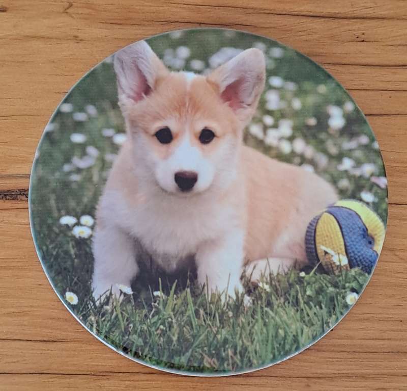 Dog Plaque/Pot Stand
