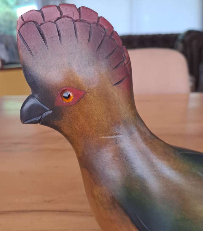 Feathers of Knysna 'Purple Crested Loerie'