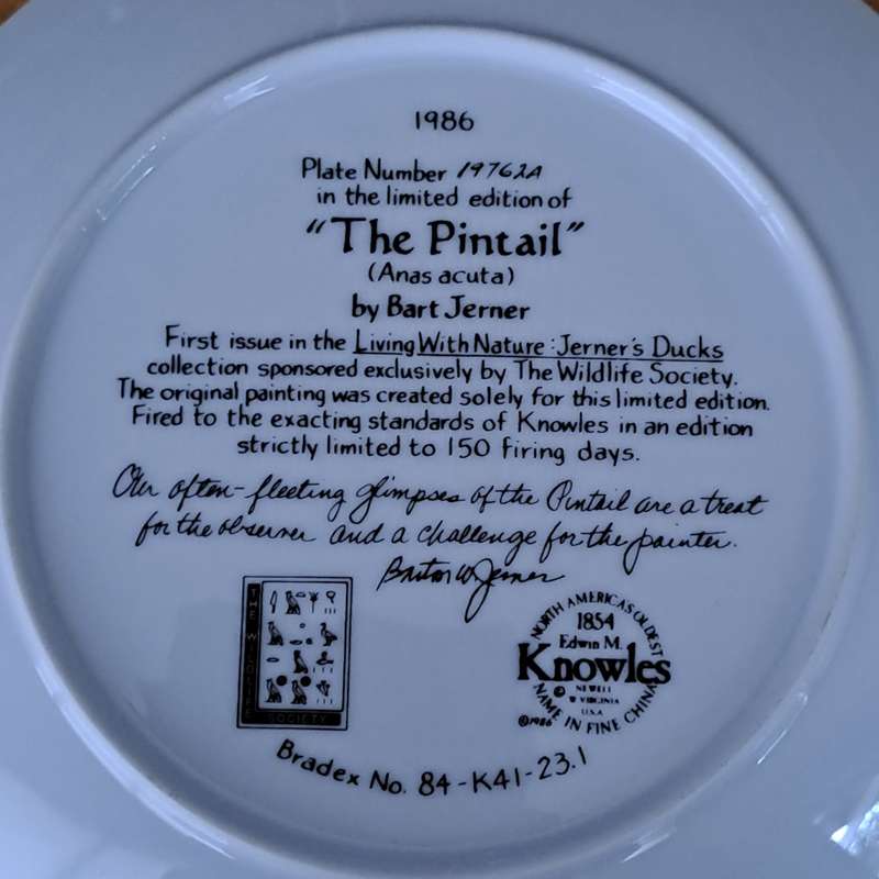 Knowles Plate 'The Pintail'