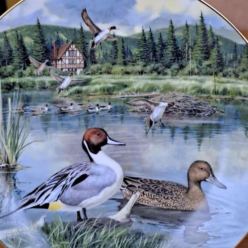 Knowles Plate 'The Pintail'