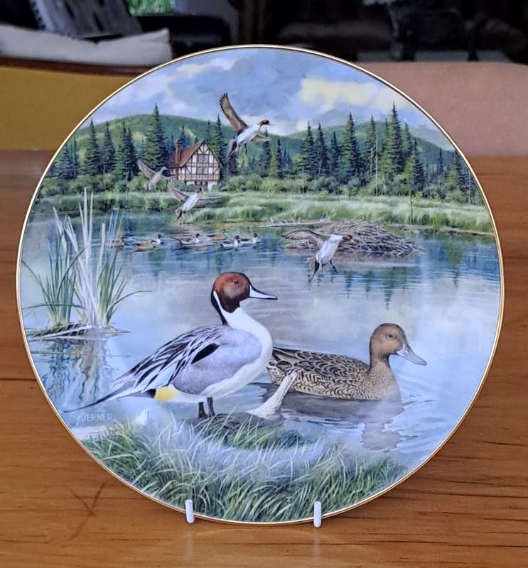 Knowles Plate 'The Pintail'