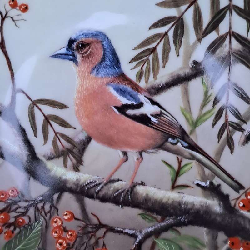 Tirschenreuth Plate ' Buchfink mit Vogelbeeren'