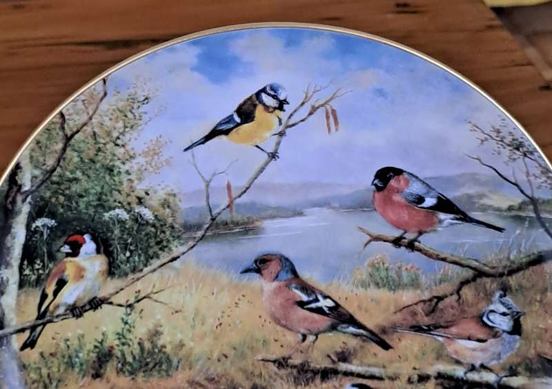 Tirschenreuth Plate 'Grand Finale'