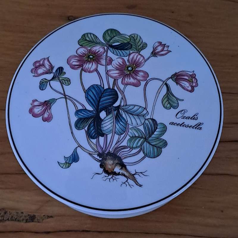 Villeroy & Boch Trinket Box - Oxalis