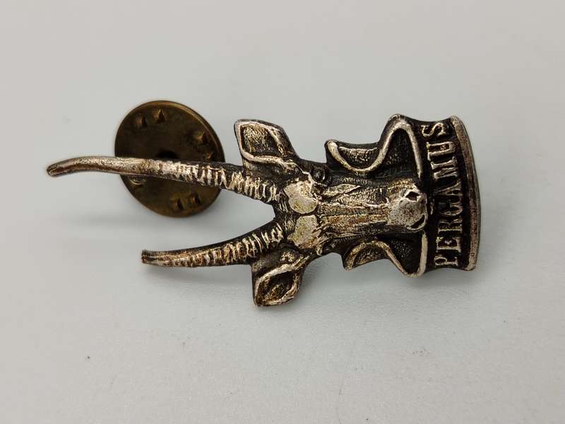 South West Africa forces territorial badge
