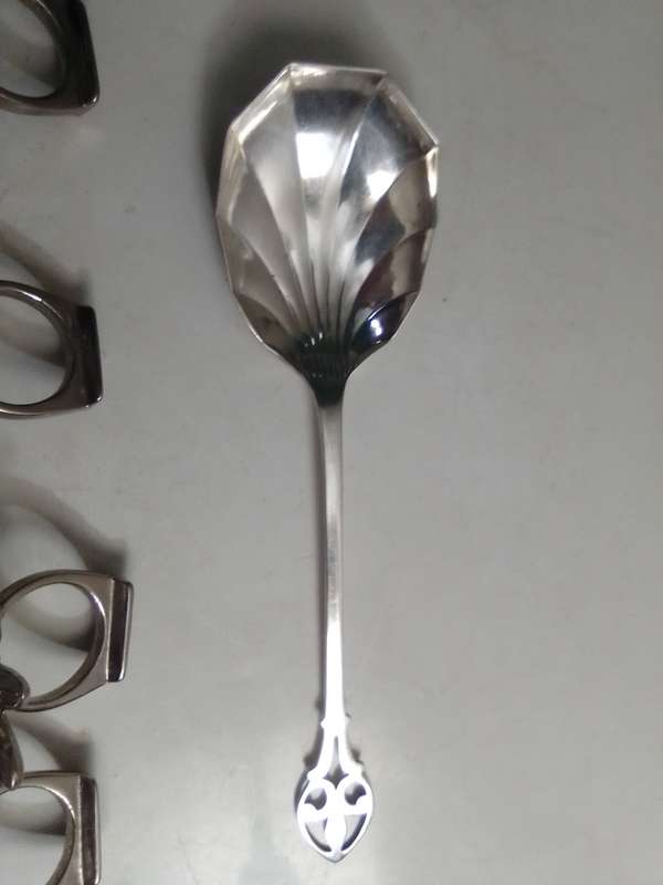 8 Grape fruit spoon set and 4 butterfly napkin rings