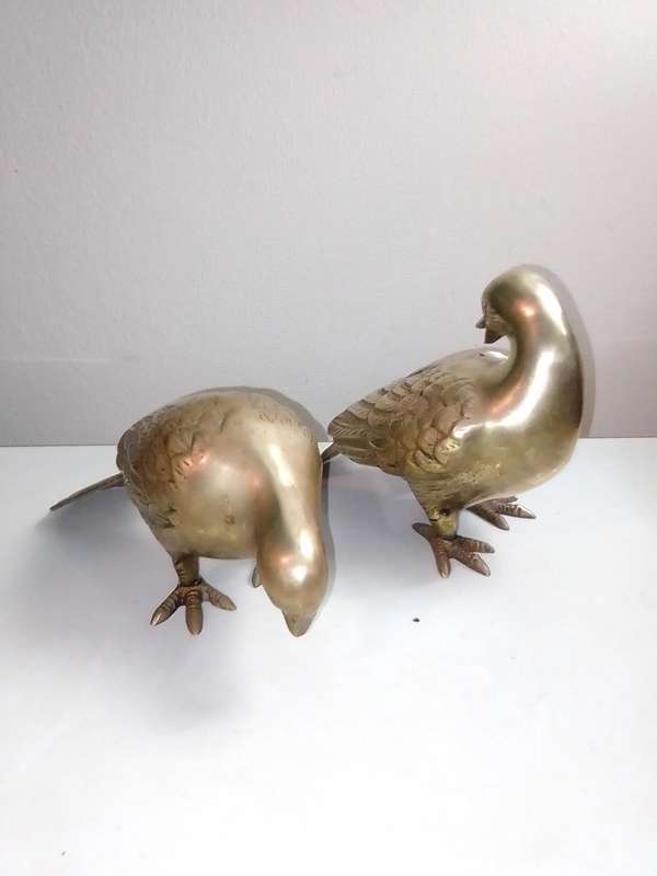 A Vintage pair of heavy brass Doves or Pigeons weighing combined at 2 Kg's in good condition.