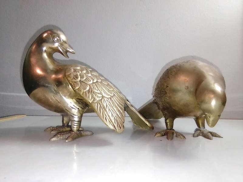 A Vintage pair of heavy brass Doves or Pigeons weighing combined at 2 Kg's in good condition.