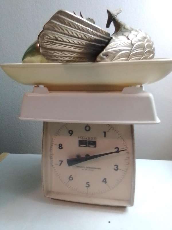 A Vintage pair of heavy brass Doves or Pigeons weighing combined at 2 Kg's in good condition.