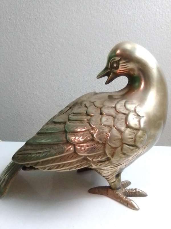 A Vintage pair of heavy brass Doves or Pigeons weighing combined at 2 Kg's in good condition.