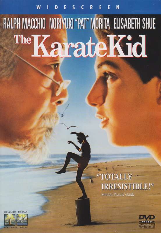 The Karate Kid (DVD)