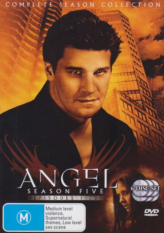Angel - Season 5 : Episodes 1-22 (DVD)