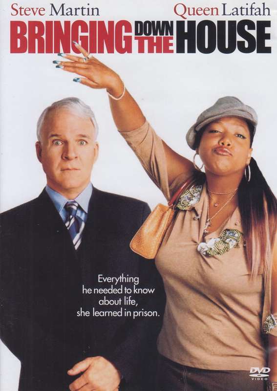 Bringing Down The House (DVD)