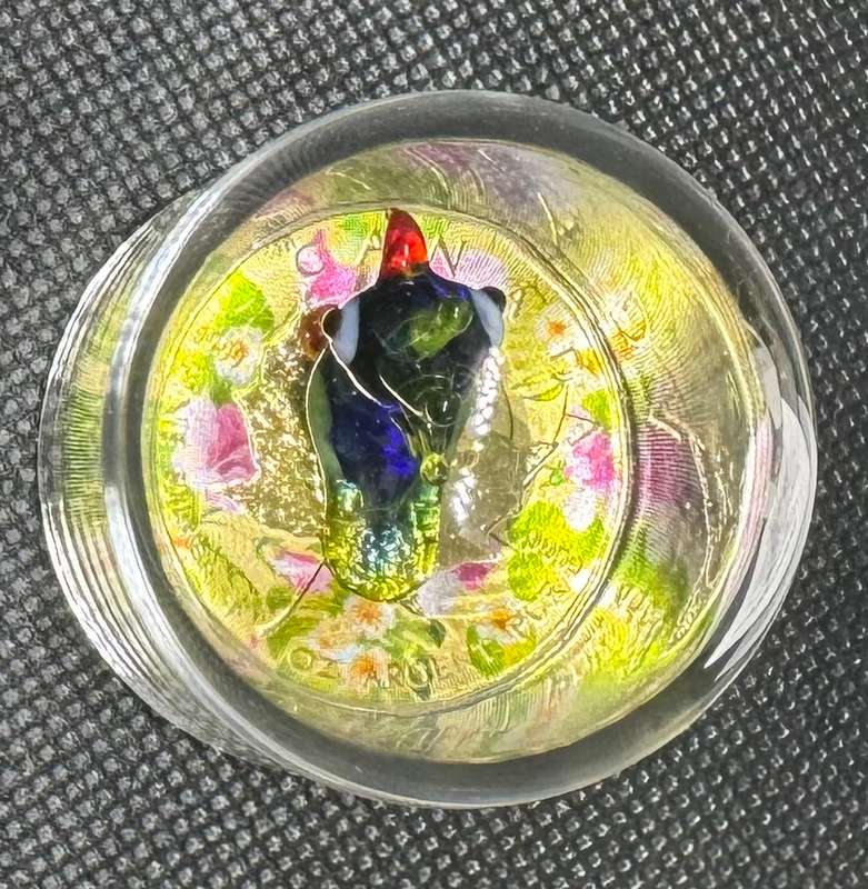 1oz CANADA MURANO 1OZ SILVER & PARROT FIGURINE SET + DOME, BOX & CERTIFICATE