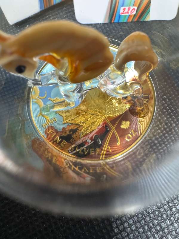 1oz CANADA MURANO 1OZ SILVER & MUSTANG FIGURINE SET + DOME, BOX & CERTIFICATE
