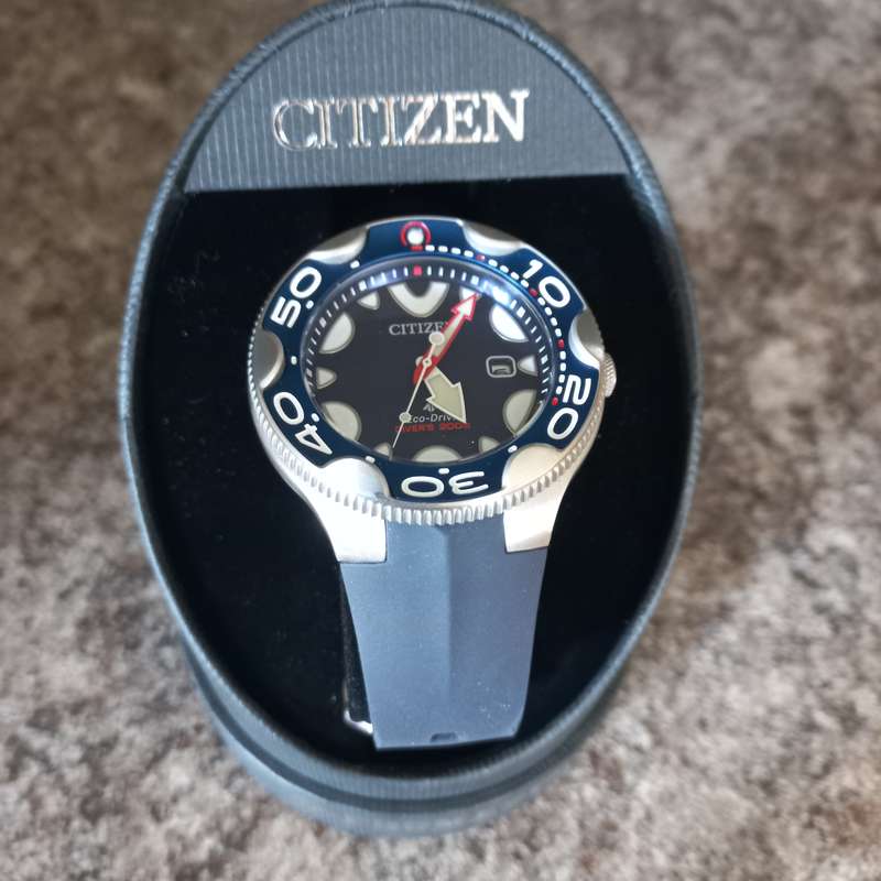 Citizen Promaster Orca Eco-Drive Watch