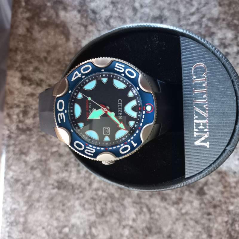 Citizen Promaster Orca Eco-Drive Watch