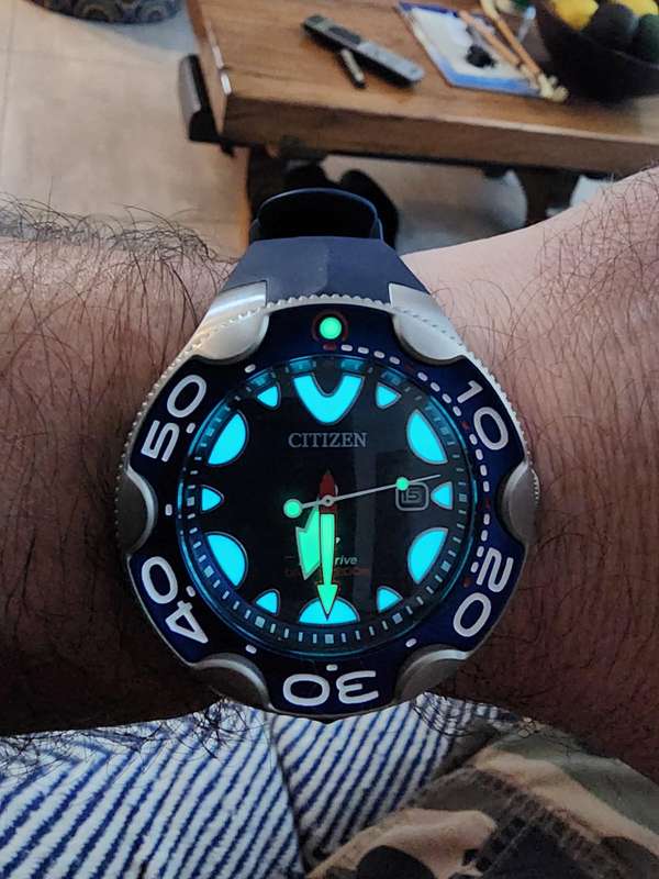 Citizen Promaster Orca Eco-Drive Watch